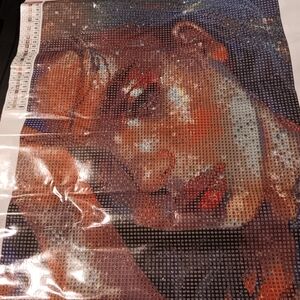 Colorful Woman Diamond Painting Kit 30x40